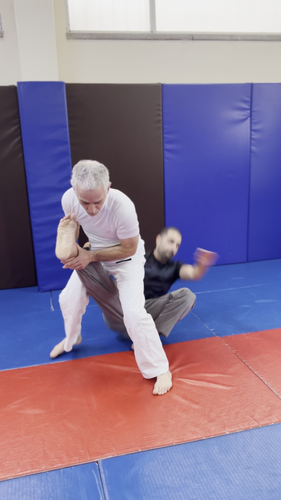 aulas de jiu jitsu em lisboa