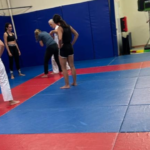 A Importância do Jiu Jitsu…