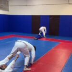 Liberdade e Jiu Jitsu: a…